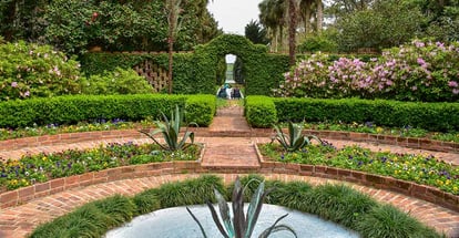 A family enjoying in the garden in Tallahassee Florida