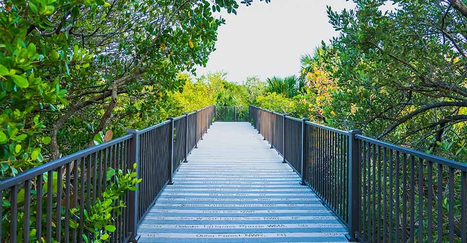 A wooden boardwalk amid swamps at Pelican Island National Wildlife Refuge in Florida