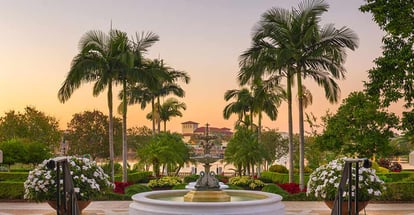 Beautiful Gardens at dusk in Lakeland Florida