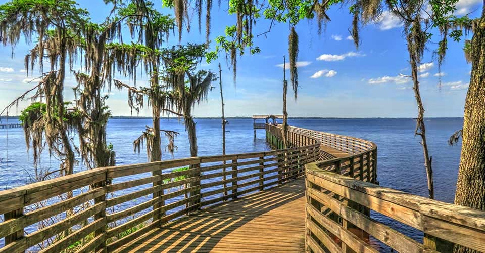 Beautiful Pier and Cypress Trees on a Bright Sunny Day at Alpine Groves Park