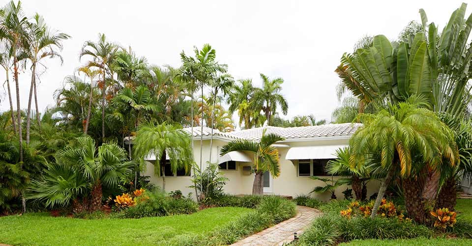 Beautiful single family house in Florida