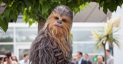 Chewbacca from Star Wars
