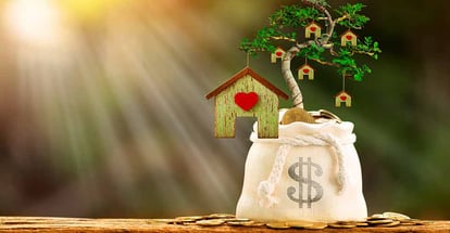 Coins in the money bag and model house on the tree