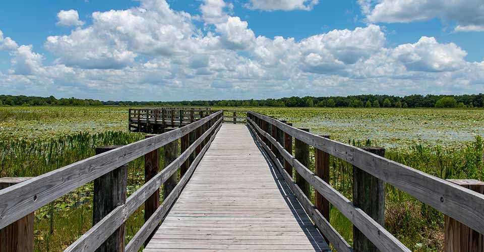 Crews Lake Wilderness Park in Pasco County Florida