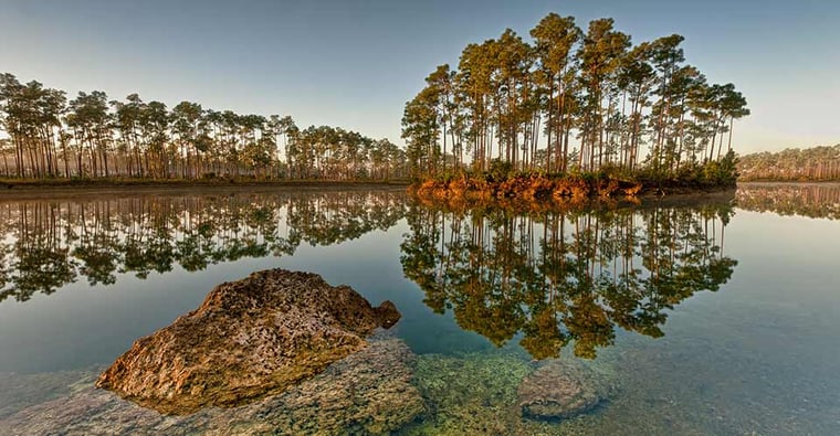 Dawn-at-Long-Pine-Key-Lake-in-Everglades-National-Park-near-Homestead-Florida