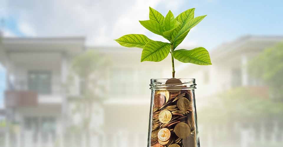 Gold coins and seed in clear bottle for investment growth