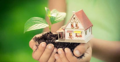 Hand holding model house and small tree