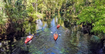 Kayaking in Silver Springs Florida