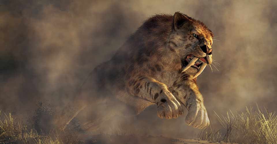 Kicking up a spray of dirt a massive smilodon leaps out of the murky mists