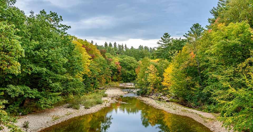 Landscape of a River during the Fall Autumn with Trees that are Turing Color