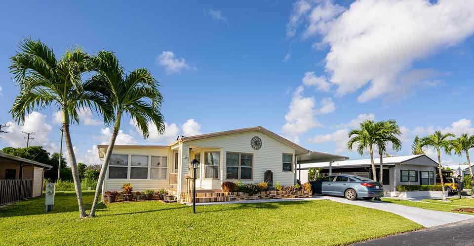 Manufactured homes with palm trees in Florida