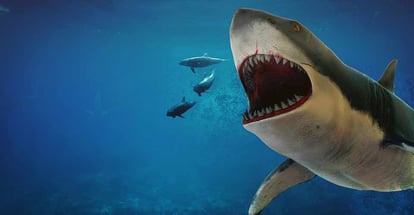 Megalodon Shark Hunting some Dolphins