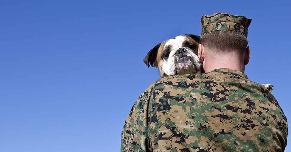 Military man hugging his dog