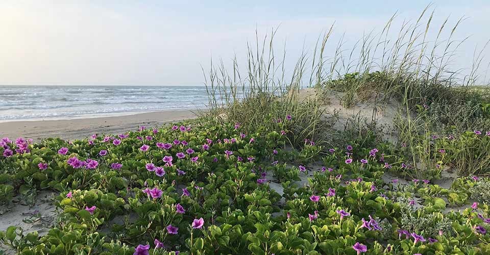 National Seashore in Florida
