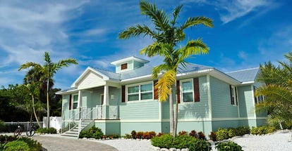 New House with beautiful Landscaping in Florida