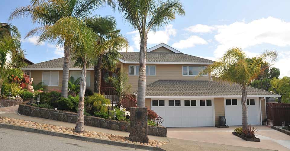 Palm trees all around house in Florida