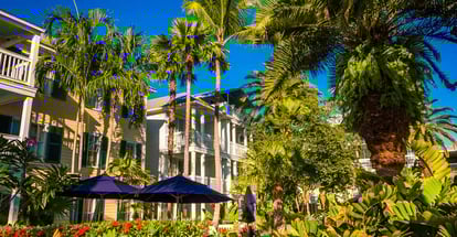 Palm trees and buildings in Key West Florida