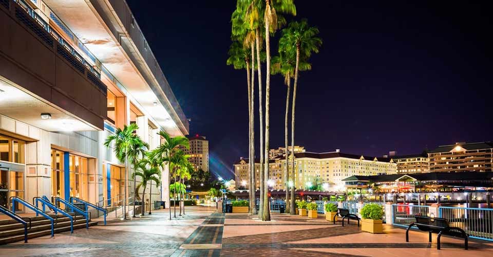Palm trees and the exterior of the Convention Center at night in Tampa Florida