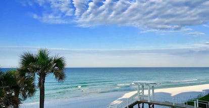 Palm trees on Santa Rosa Beach in Florida