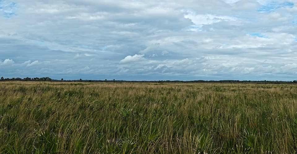 Panoramic View at Kissimmee Prairie Florida State Park