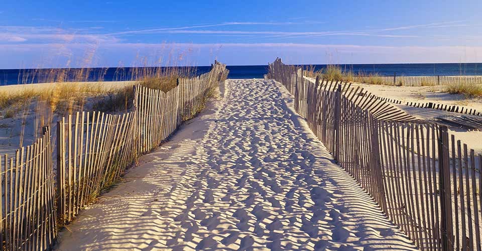 Pathway and sea oats on beach at Santa Rosa Island near Pensacola Florida