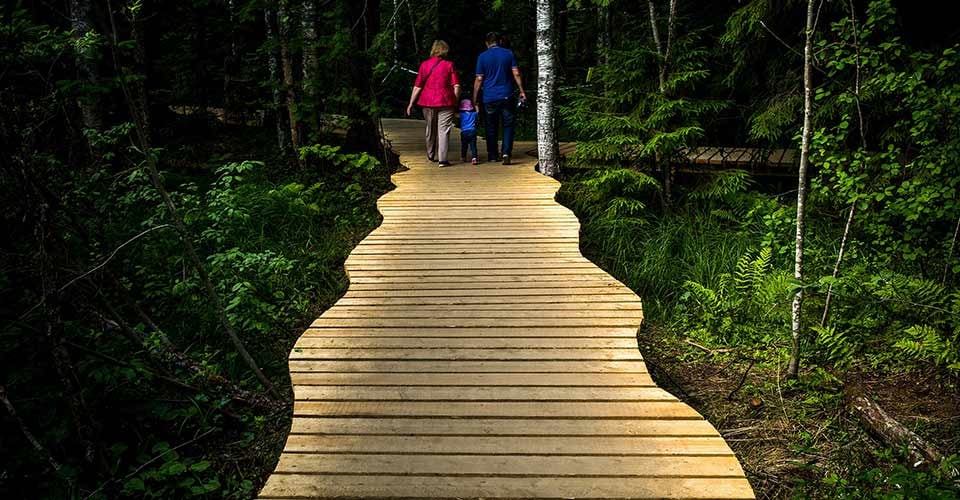 People walk along a wooden path in the forest in Florida
