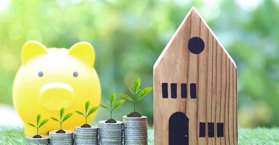 Plant growing on stack of coins money and Model house