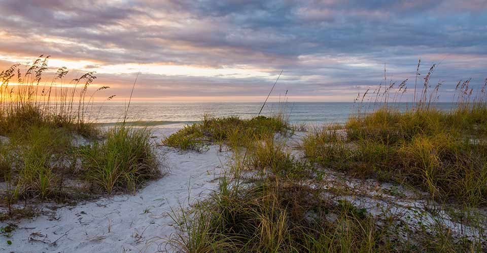 Sand Dunes at Dusk Clearwater Beach Florida
