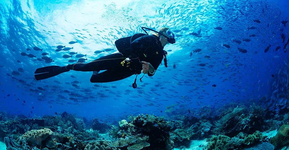 Scuba diver diving on tropical reef