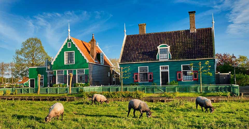 Sheeps grazing near traditional old country farm house