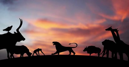 Silhouette of a roaring Lion on the horizon presiding over a kingdom of animals