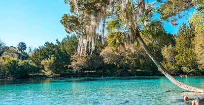 Silver Glen Springs in Florida