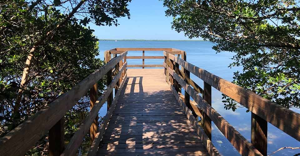 Sunny lookout at end of shaded boardwalk at Emerson Point Preserve along Manatee River in west central Florida