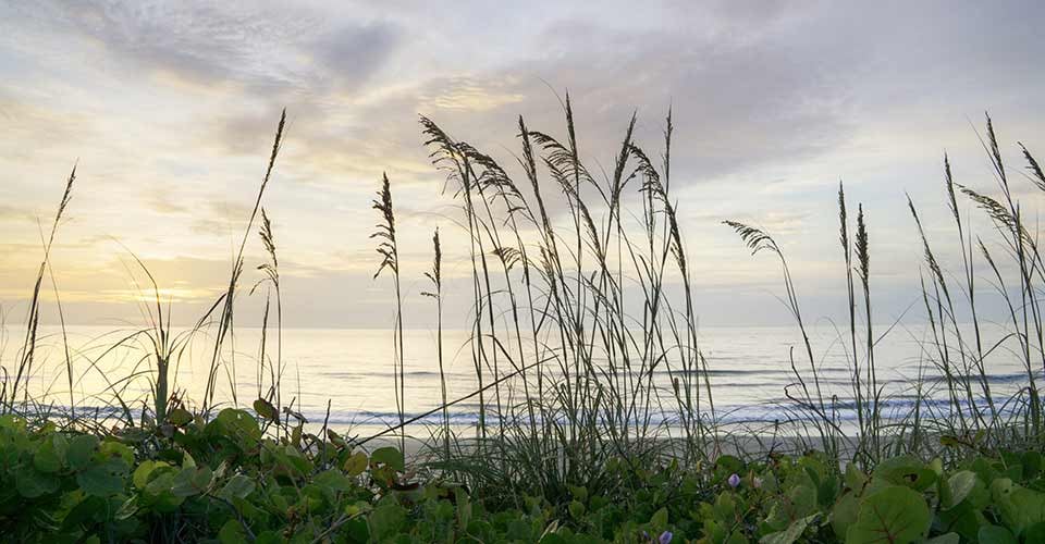 Sunrise in Hangar Beach at Patrick Air Force Base in Florida