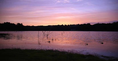 Sunrise over a Lake in Chipley Florida in the Morning