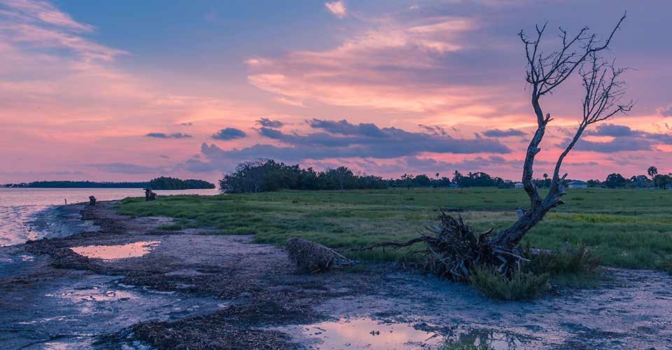 Sunset in Everglades National Park in Florida with silhouettes of tree