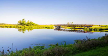Sweetwater Wetlands Park in Gainesville Florida