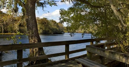 The peaceful boardwalk on the Suwannee River in Florida