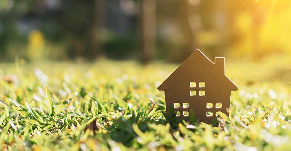 Tiny home model on green grass