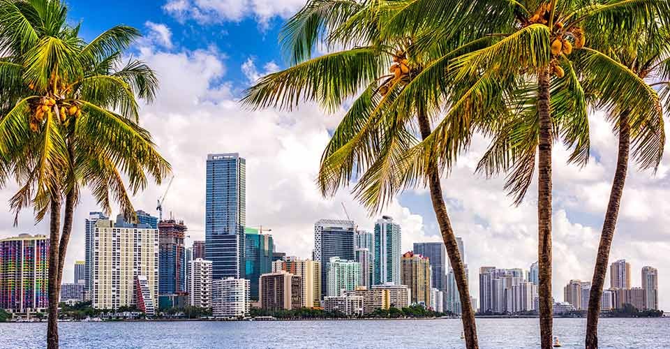 Tropical downtown skyline in Miami Florida