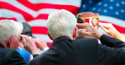 Veterans saluting