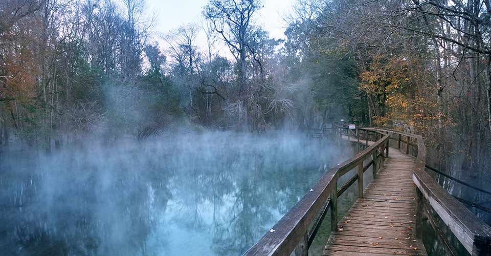 Wooden Raised walkway early in the morning at Gilchrist Blue Springs State Park Florida