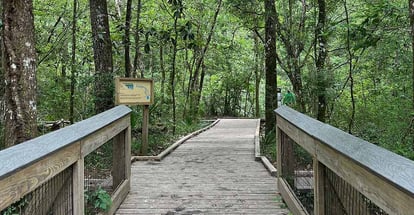 Wooden bridge entrance to hiking trails at Ponce de Leon Springs State Park in Florida