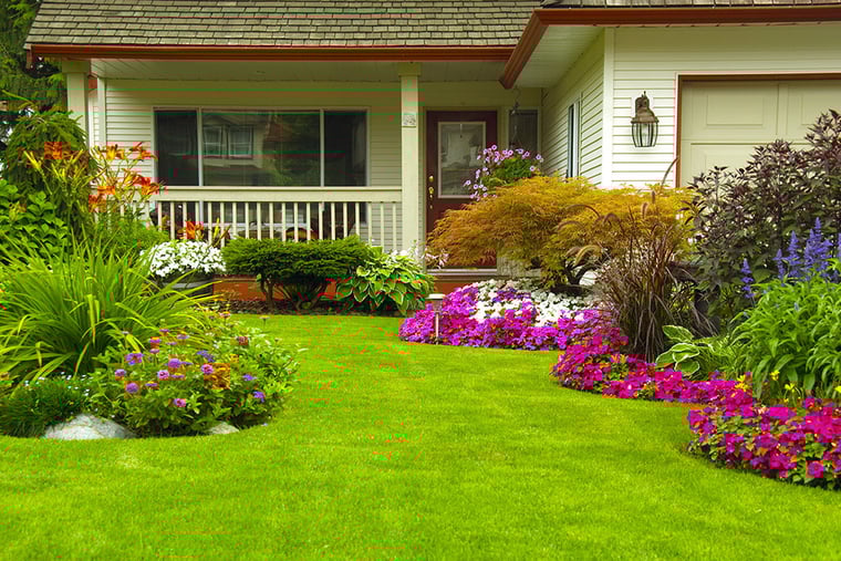 flower-garden