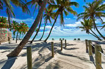 Reasons Why Florida is a Popular Relocation Destination