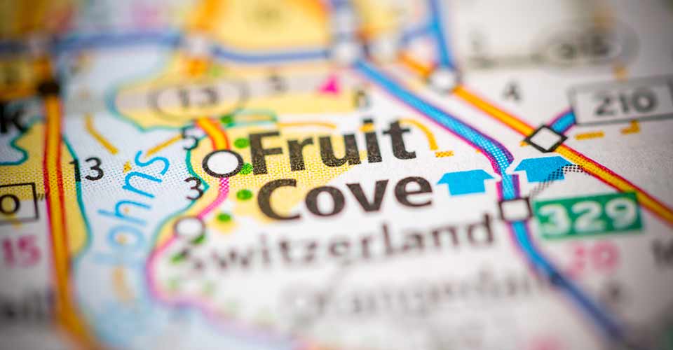 Map of Fruit Cove Florida